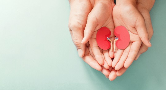 Что важно знать родителям